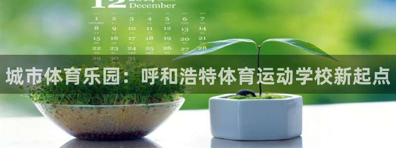 杏悦官网：城市体育乐园：呼和浩特体育运动学校新起点