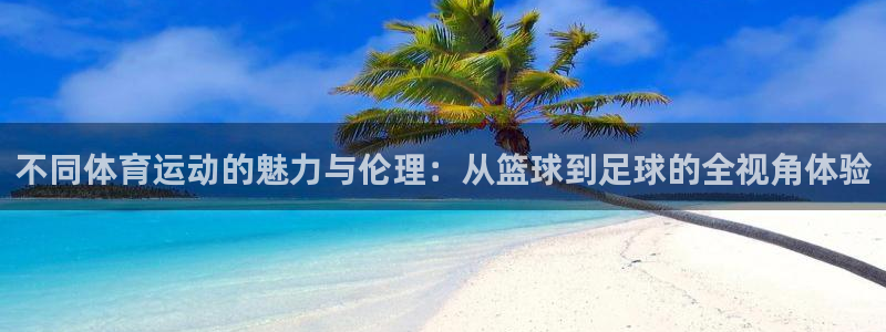 成都杏悦电子有限公司：不同体育运动的魅力与伦理：从篮球到足球的全视角体验