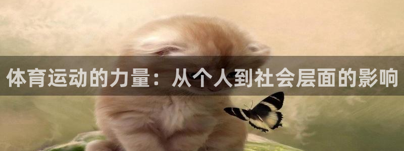 杏悦：体育运动的力量：从个人到社会层面的影响