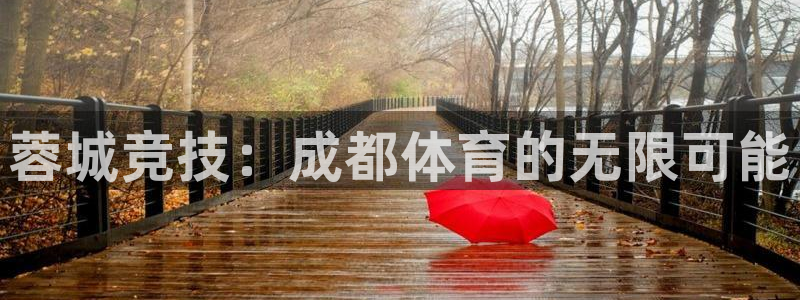 杏悦登录注册：蓉城竞技：成都体育的无限可能