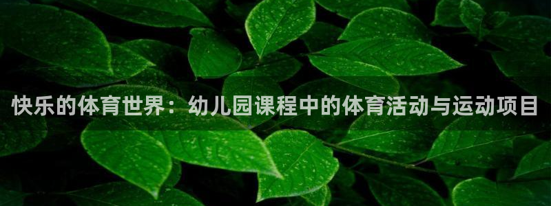 杏悦体育网页版入口：快乐的体育世界：幼儿园课程中的体育活动与运动项目