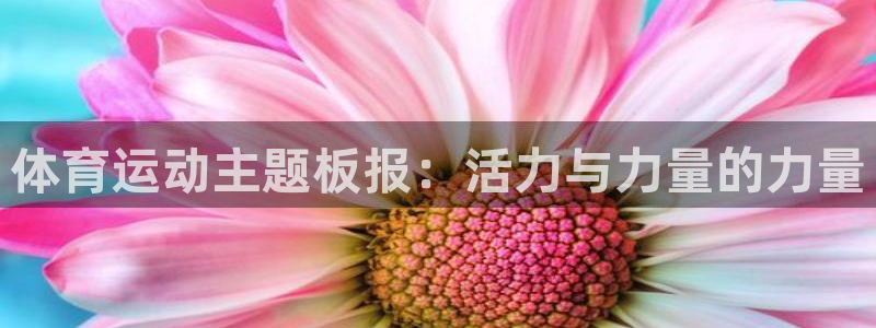 杏悦登录：体育运动主题板报：活力与力量的力量