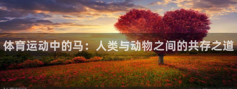 杏悦招商地址：体育运动中的马：人类与动物之间的共存之道