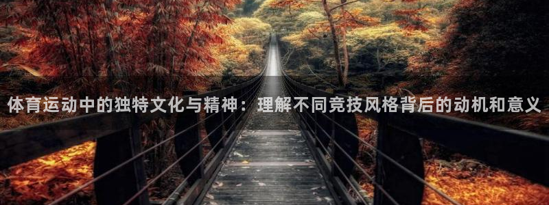 杏悦2体育登录入口：体育运动中的独特文化与精神：理解不同竞技风格背后的动机和意义