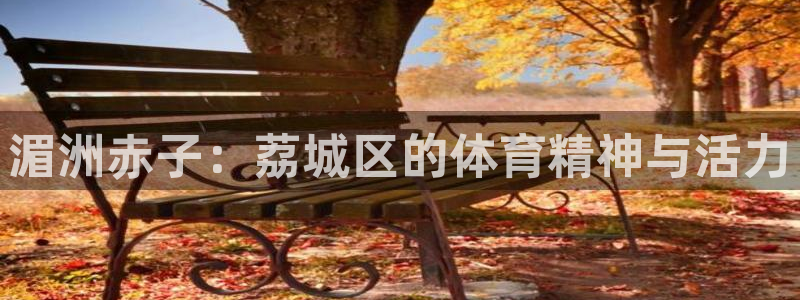 杏悦电子有限公司：湄洲赤子：荔城区的体育精神与活力