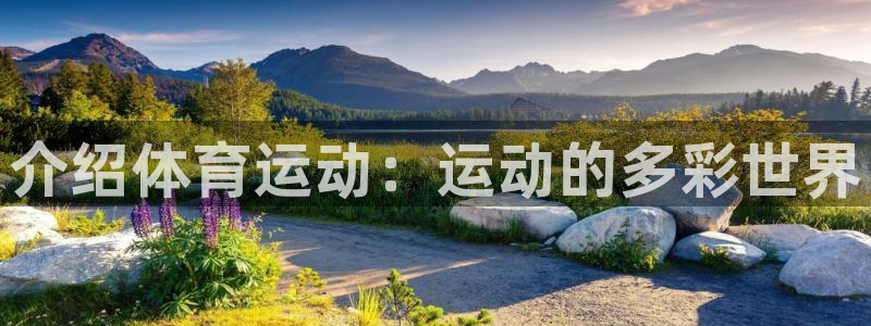 杏悦体育注册：介绍体育运动：运动的多彩世界
