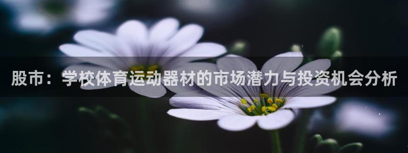 杏悦平台开户链接：股市：学校体育运动器材的市场潜力与投资机会分析