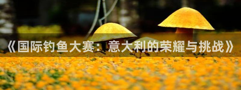 佛山市南海杏悦机电仪器有限公司：《国际钓鱼大赛：意大利的荣耀与挑战》