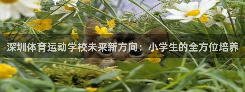 杏悦2官网：深圳体育运动学校未来新方向：小学生的全方位培养