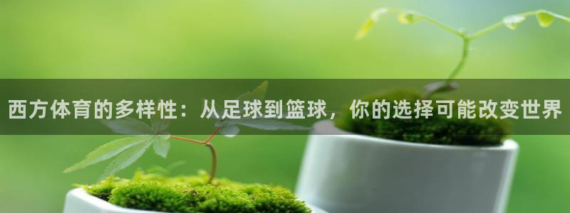 杏悦官网入口：西方体育的多样性：从足球到篮球，你的选择可能改变世界
