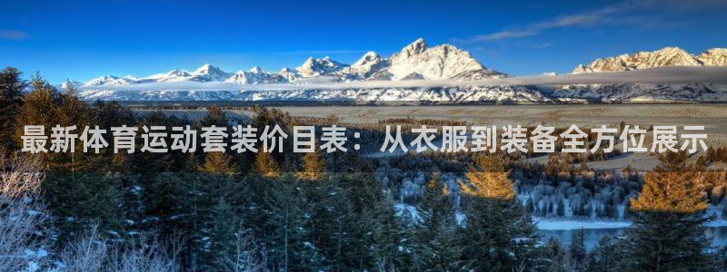 杏悦凯捷平台注册链接：最新体育运动套装价目表：从衣服到装备全方位展示