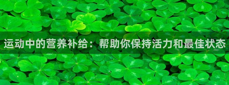 杏悦体育和杏耀是哪个公司的：运动中的营养补给：帮助你保持活力和最佳状态