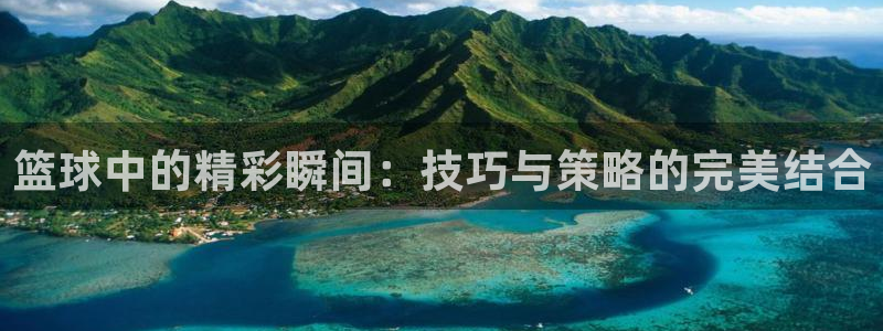 杏悦电子有限公司：篮球中的精彩瞬间：技巧与策略的完美结合