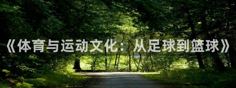 杏悦2代理注册：《体育与运动文化：从足球到篮球》