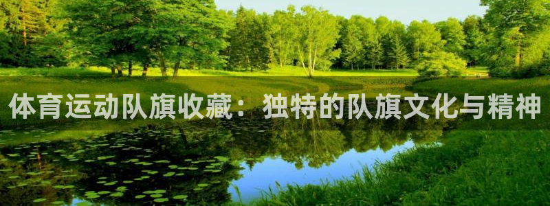 杏悦体育官网登录：体育运动队旗收藏：独特的队旗文化与精神