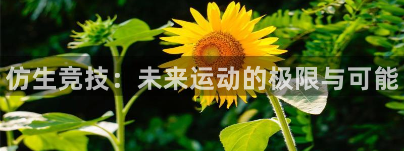 杏悦体育注册登录入口：仿生竞技：未来运动的极限与可能