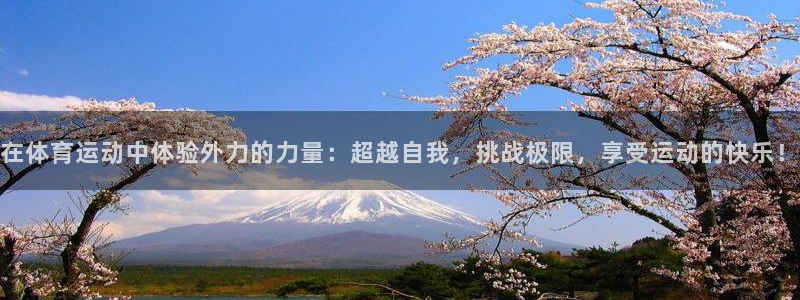 杏悦2平台注册：在体育运动中体验外力的力量：超越自我，挑战极限，享受运动的快乐！