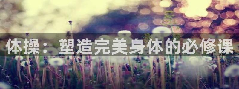 杏悦3官网：体操：塑造完美身体的必修课