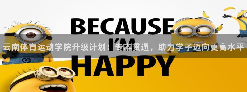 杏悦体育注册平台：云南体育运动学院升级计划：专本贯通，助力学子迈向更高水平