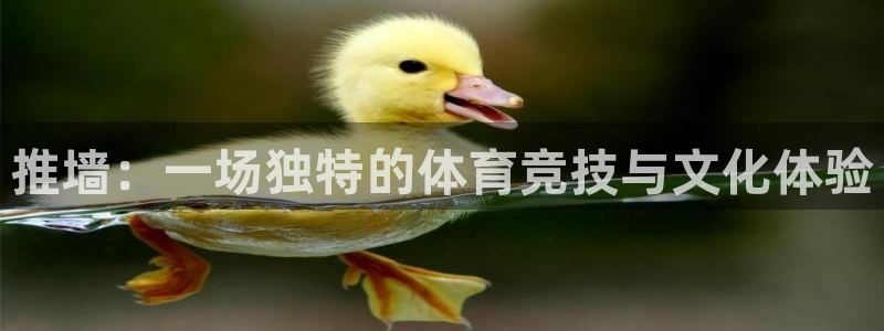 杏悦平台如何：推墙：一场独特的体育竞技与文化体验